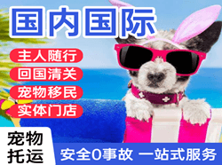 澜沧景迈机场托运国际宠物托运 【国
